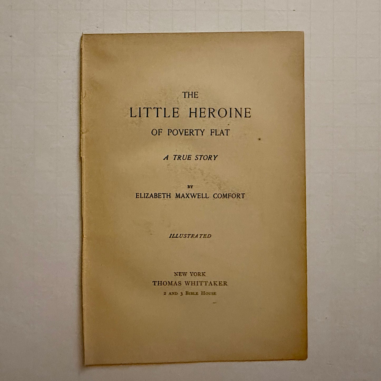 The Little Heroine of Poverty Flat — Elizabeth Maxwell Comfort (1895) Antique Illustrated Pages