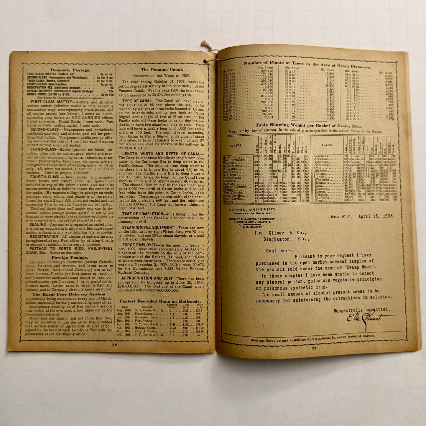 1911 Swamp Root Almanac (antique)