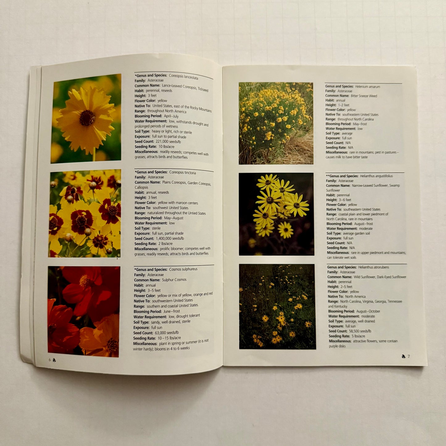 Wildflowers on North Carolina Roadsides – Official NCDOT Guidebook (Roadside Environmental Unit)