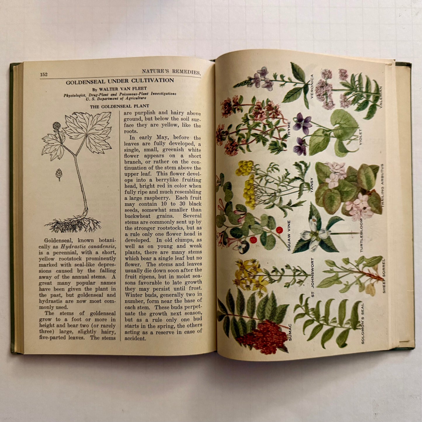 Natures Remedies, 1934