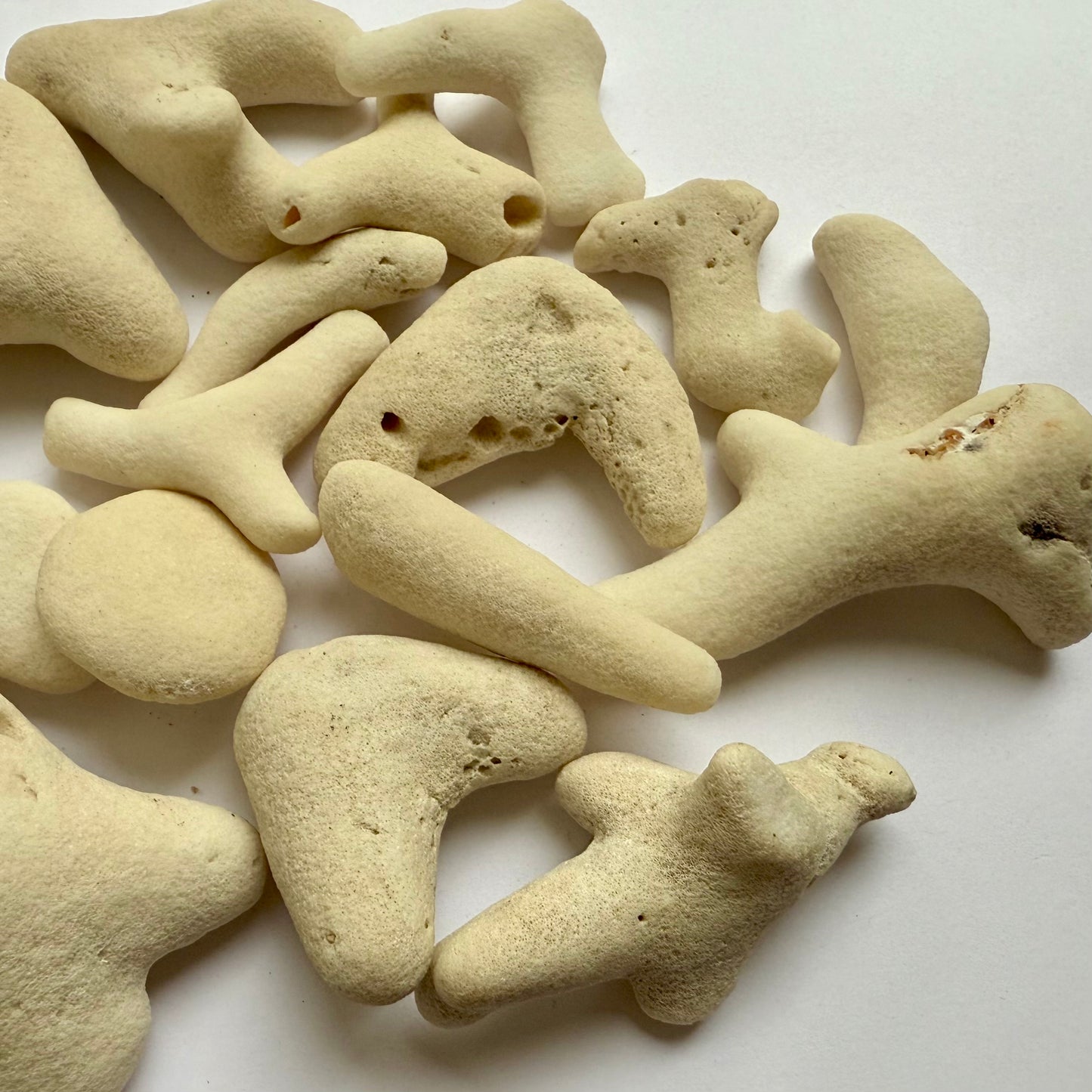 Tumbled White Coral Fragments – 10 oz Collection | Natural Sea Bone Coral Pieces