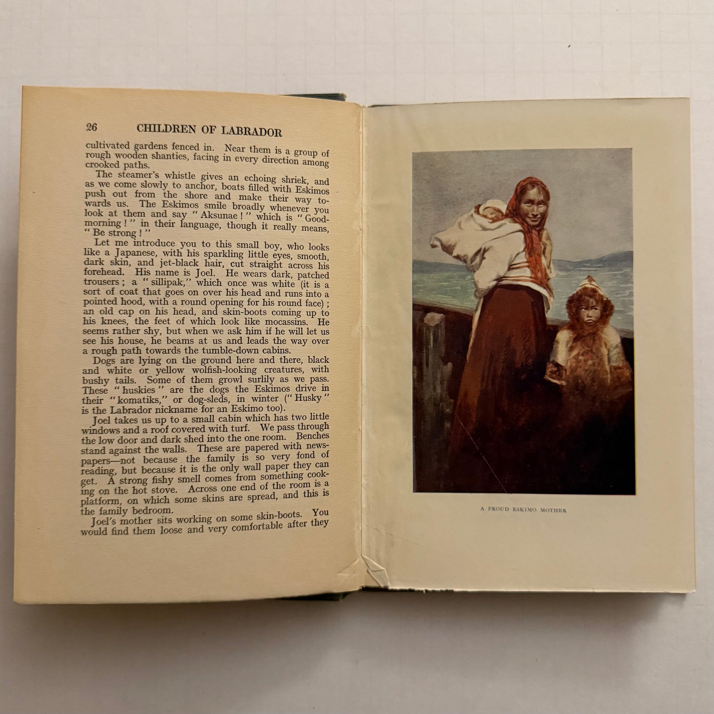 Children of Labrador (1920s) by Mary Lane Dwight — Illustrated Vintage Arctic Mission Book
