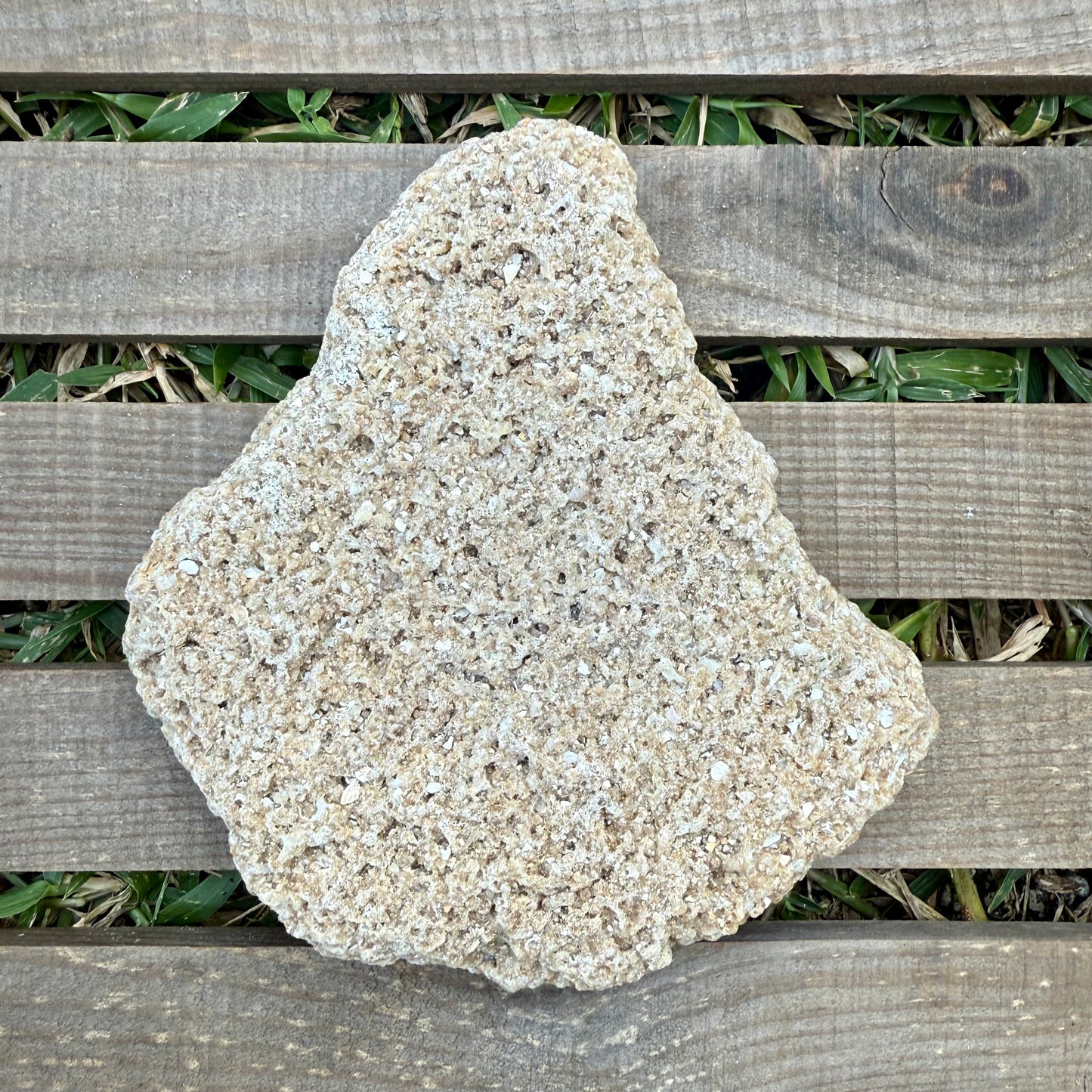 Large beige stone on a wooden surface with grass in the background