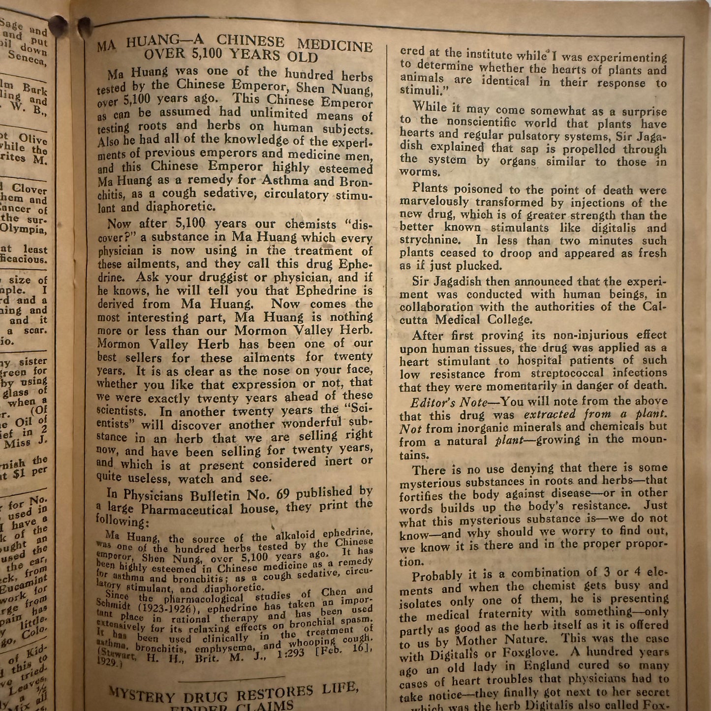 The Herbalist Almanac - 1931 Edition