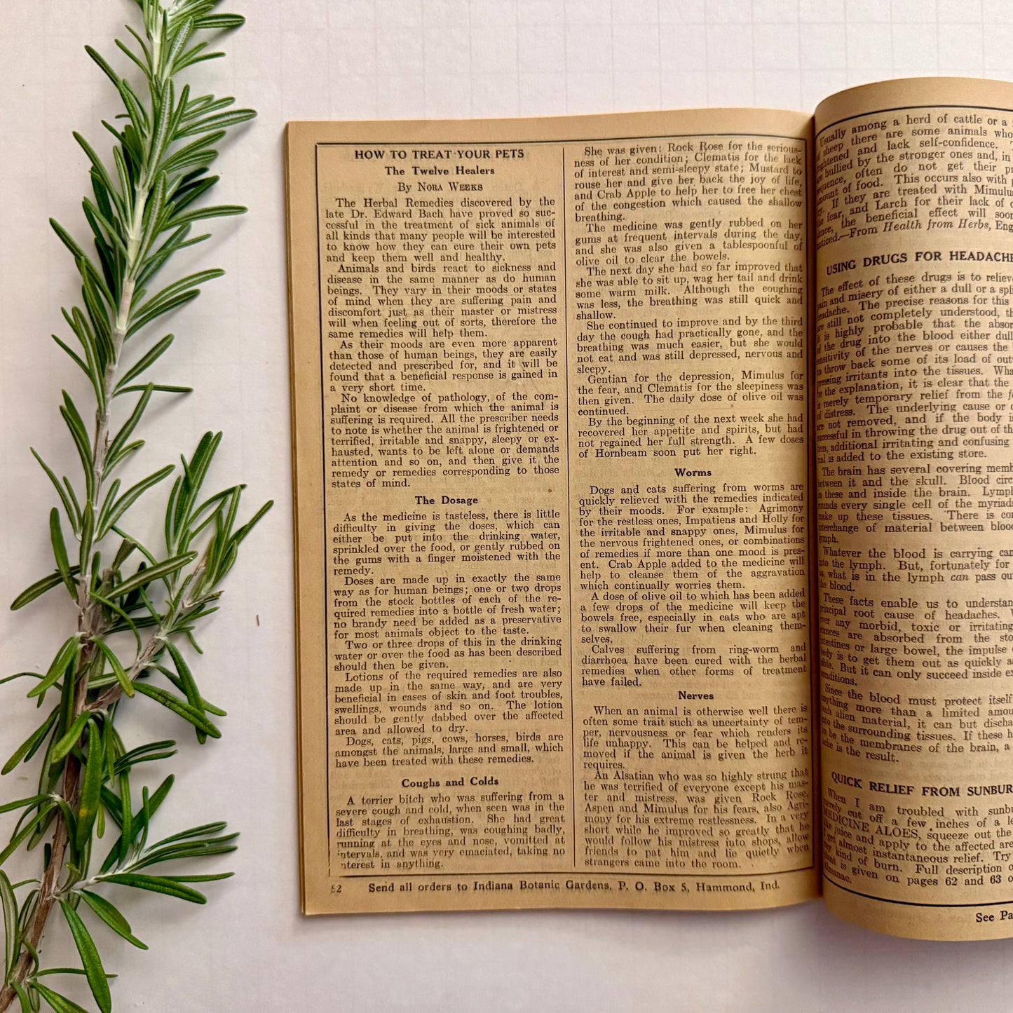 The Herbalist Almanac - 1940 Edition