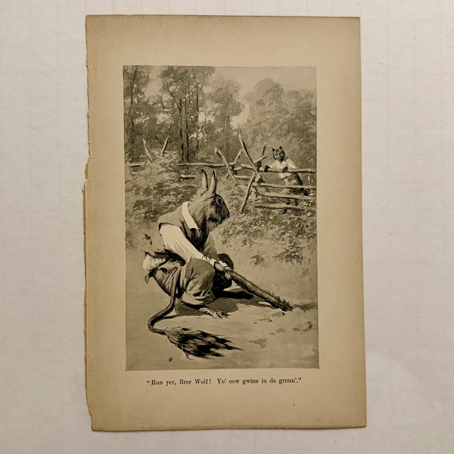Set of 6 Antique “Uncle Remus” Book Illustrations — Br’er Rabbit, Br’er Fox & Br’er Bear (A.B. Frost, c.1900)