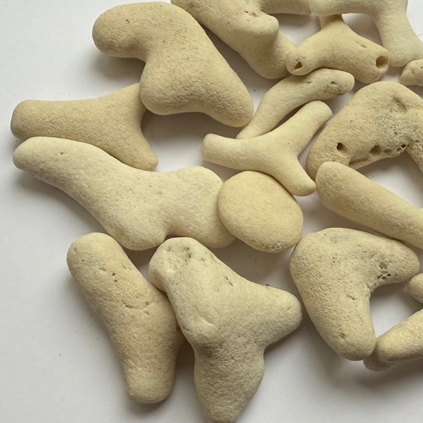 Tumbled White Coral Fragments – 10 oz Collection | Natural Sea Bone Coral Pieces