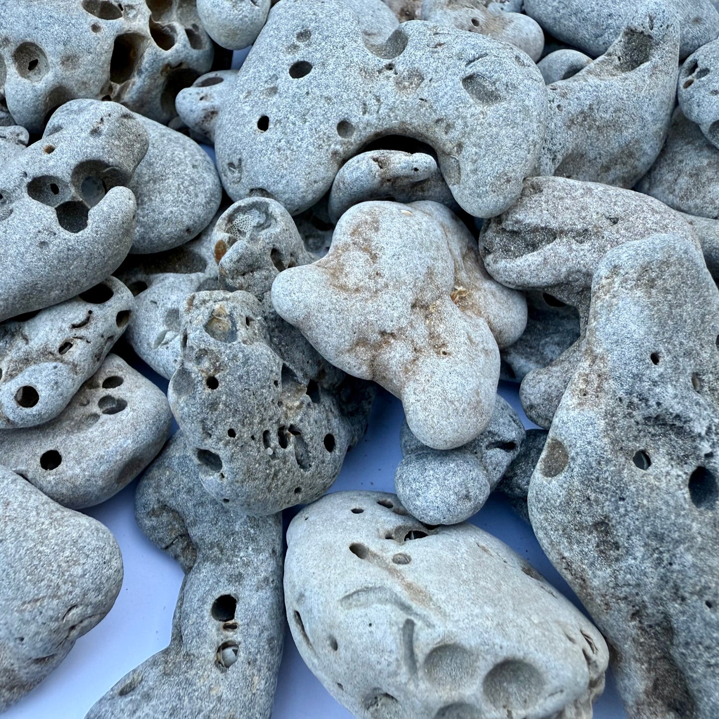 Natural Hag Stones – 1.75 lb Lot of Holey Stones | Beach-Worn Lucky Stones from the Sea