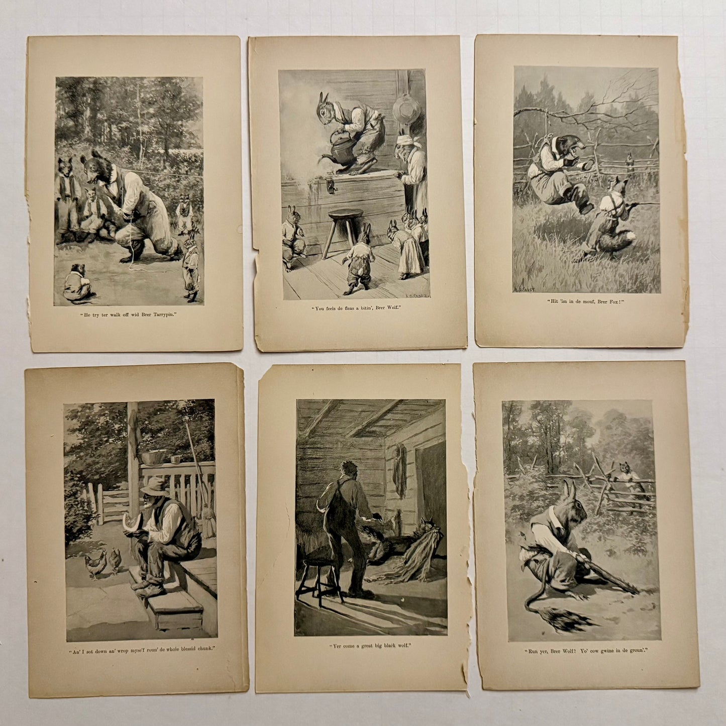 Set of 6 Antique “Uncle Remus” Book Illustrations — Br’er Rabbit, Br’er Fox & Br’er Bear (A.B. Frost, c.1900)