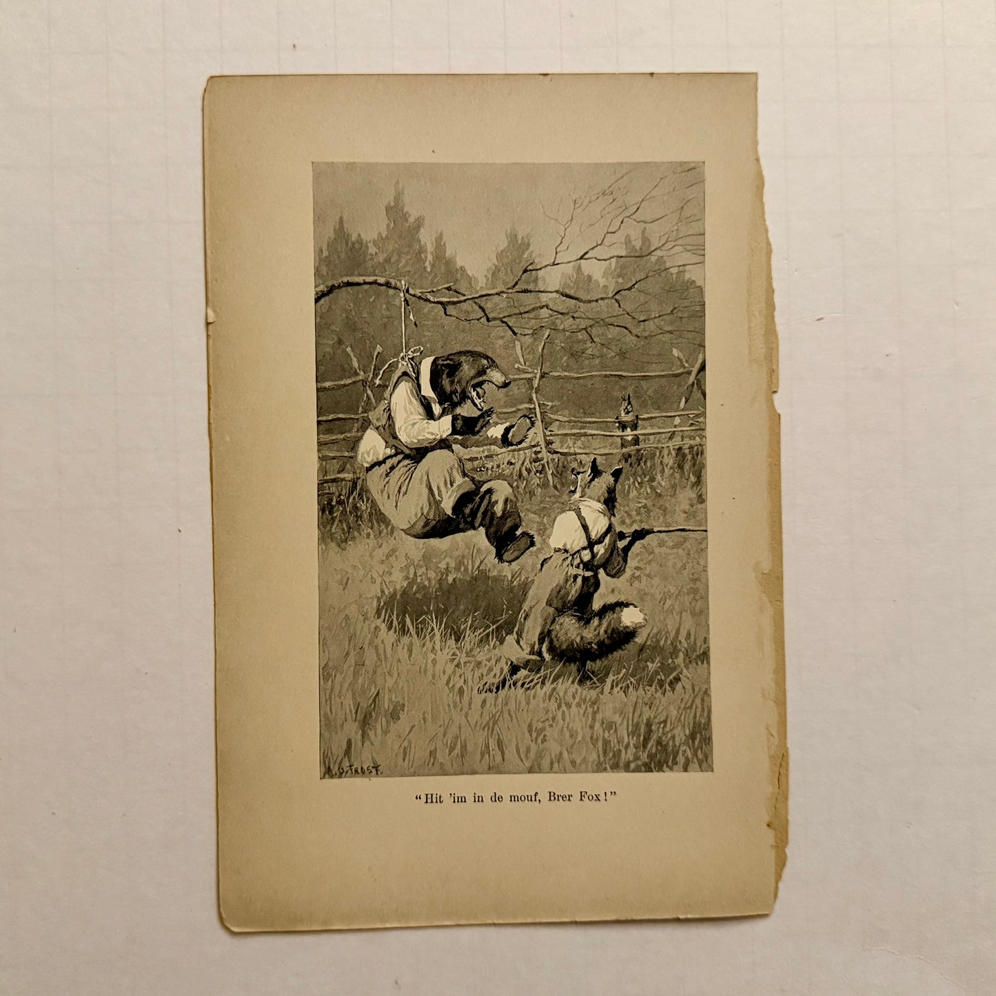 Set of 6 Antique “Uncle Remus” Book Illustrations — Br’er Rabbit, Br’er Fox & Br’er Bear (A.B. Frost, c.1900)