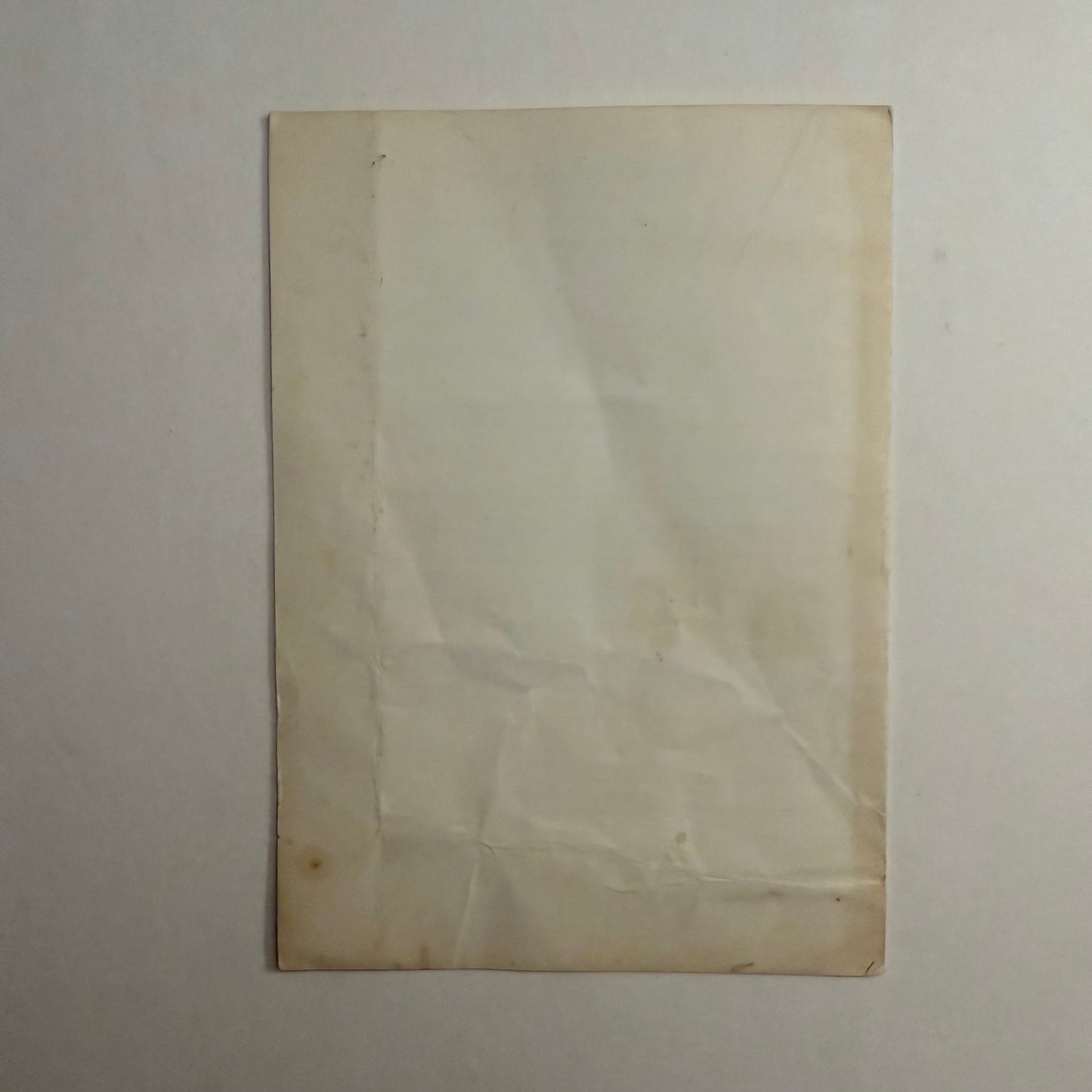 Indian Roots & Herbs (c. 1915–1930) – Original Herbal Medicine Booklet