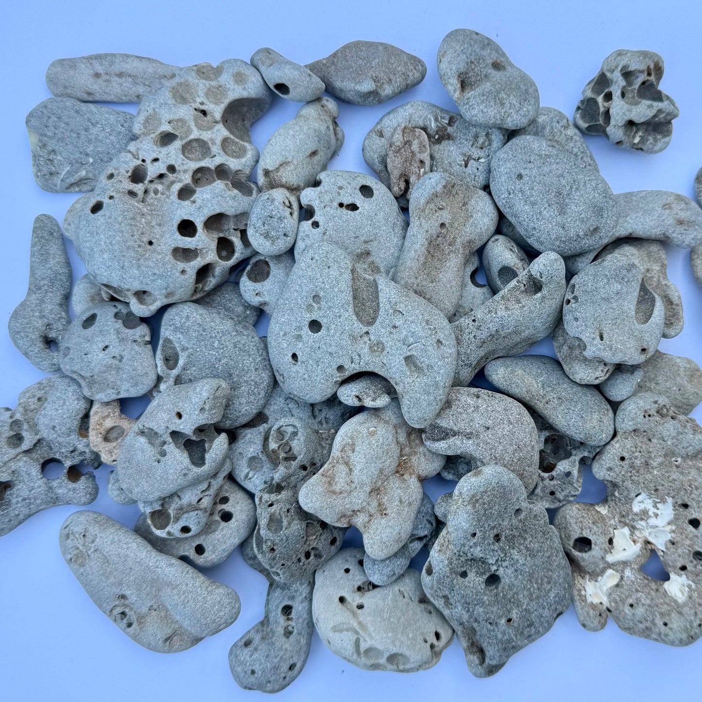 Natural Hag Stones – 1.75 lb Lot of Holey Stones | Beach-Worn Lucky Stones from the Sea