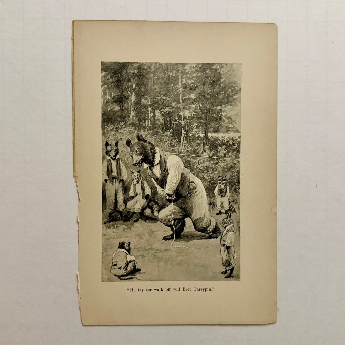 Set of 6 Antique “Uncle Remus” Book Illustrations — Br’er Rabbit, Br’er Fox & Br’er Bear (A.B. Frost, c.1900)