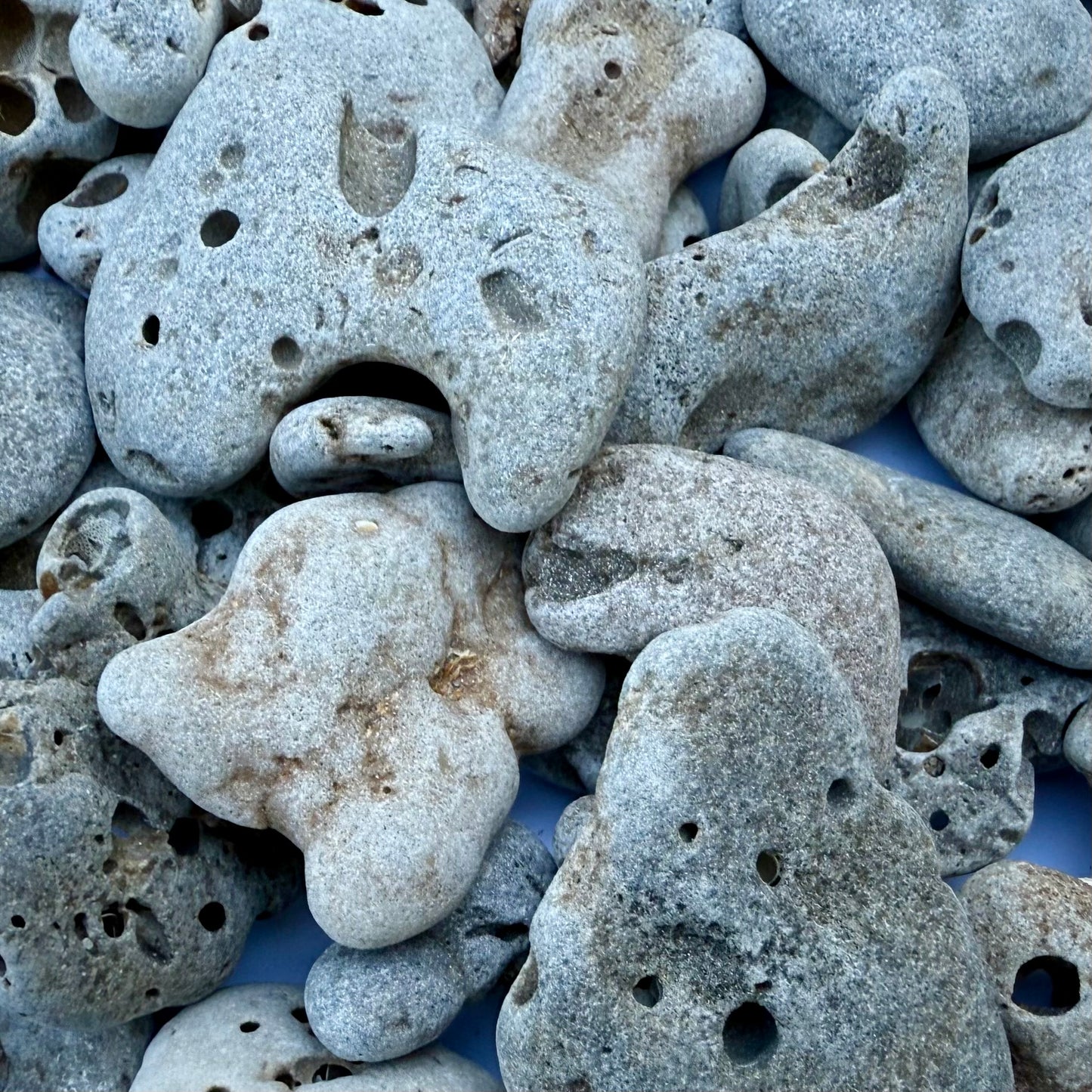 Natural Hag Stones – 1.75 lb Lot of Holey Stones | Beach-Worn Lucky Stones from the Sea