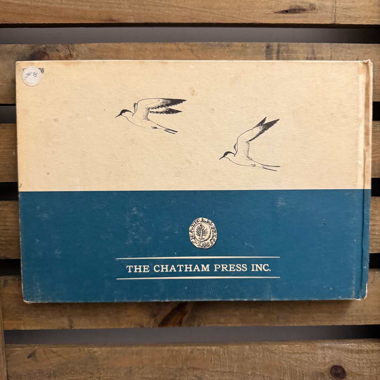 The Sandy Shore by John Hay — Illustrated by Edward and Marcia Norman