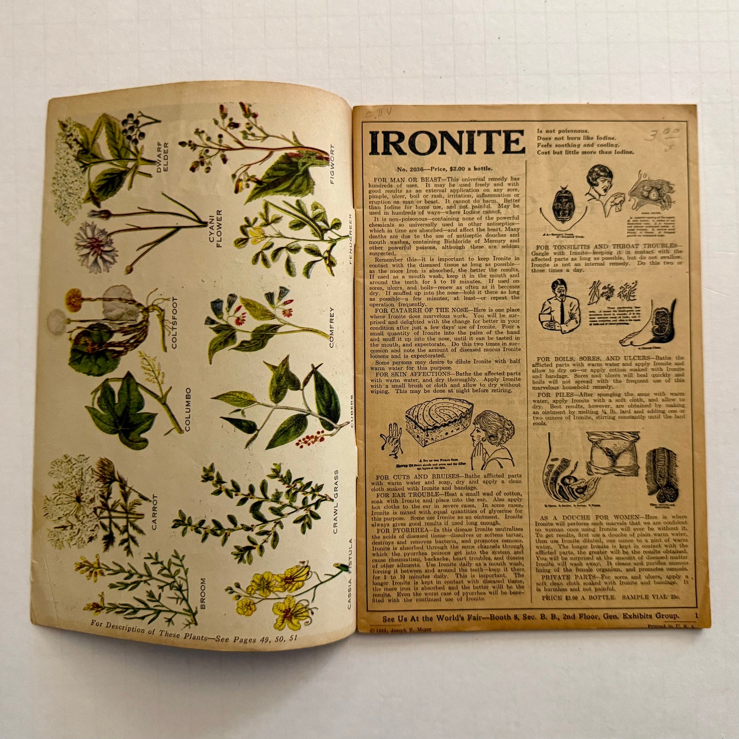The Herbalist Almanac - 1933 Edition