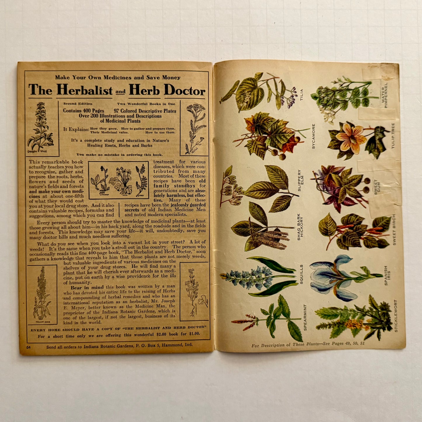The Herbalist Almanac - 1933 Edition