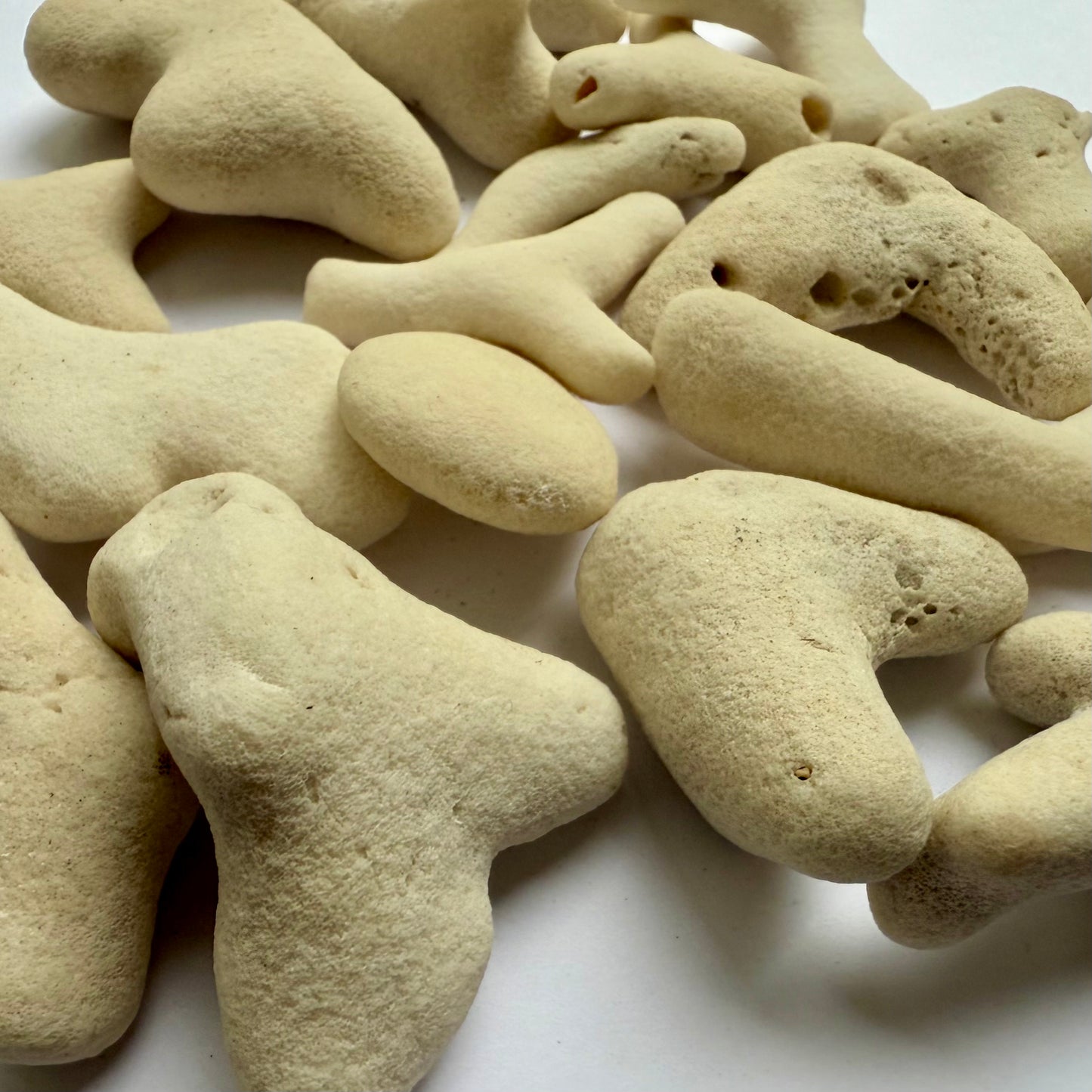 Tumbled White Coral Fragments – 10 oz Collection | Natural Sea Bone Coral Pieces