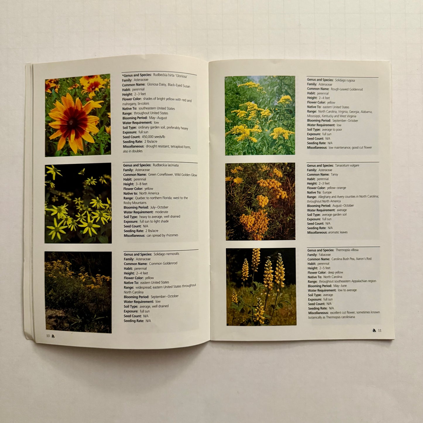 Wildflowers on North Carolina Roadsides – Official NCDOT Guidebook (Roadside Environmental Unit)