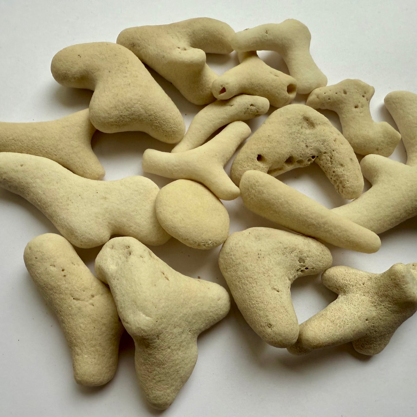Tumbled White Coral Fragments – 10 oz Collection | Natural Sea Bone Coral Pieces