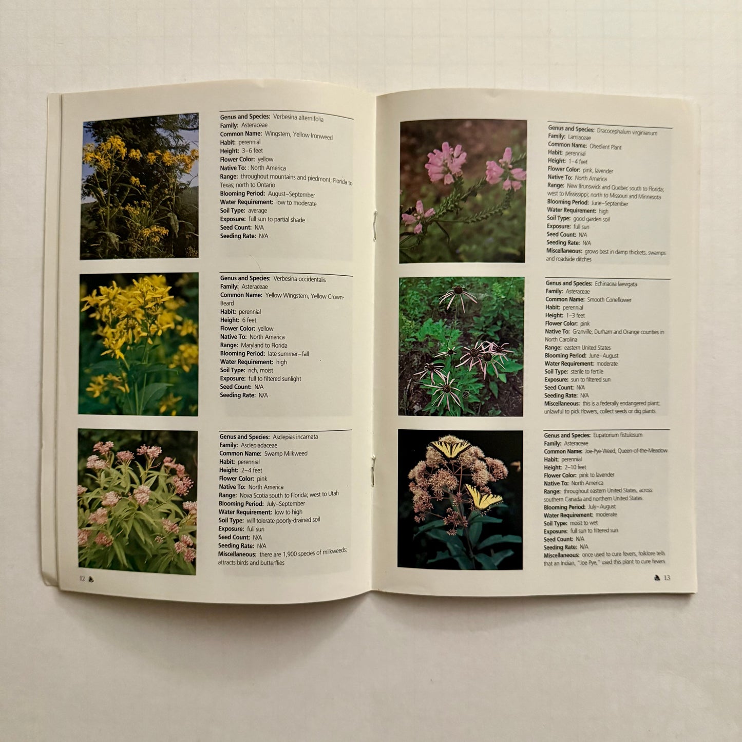 Wildflowers on North Carolina Roadsides – Official NCDOT Guidebook (Roadside Environmental Unit)
