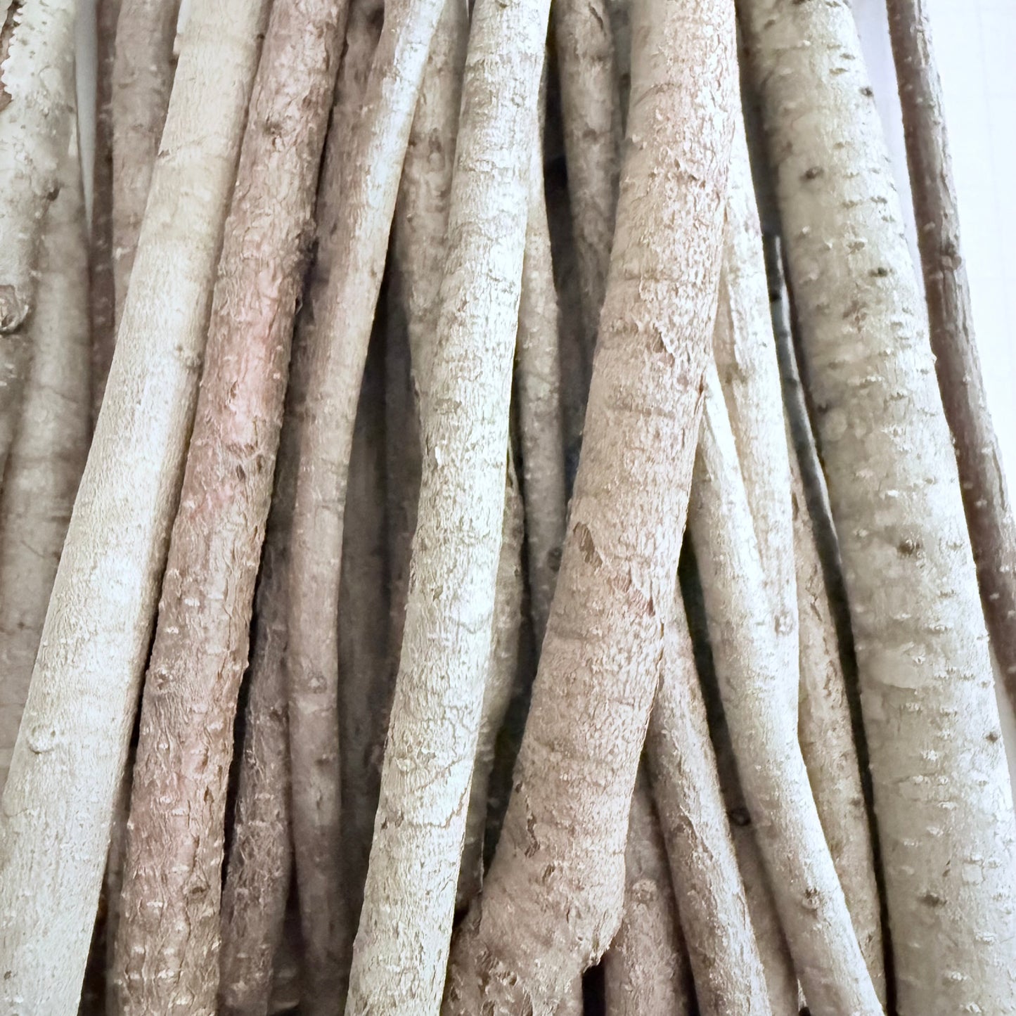 Dried Bayberry Twigs & Branches – 8 oz Bundle (4”–10” Lengths)