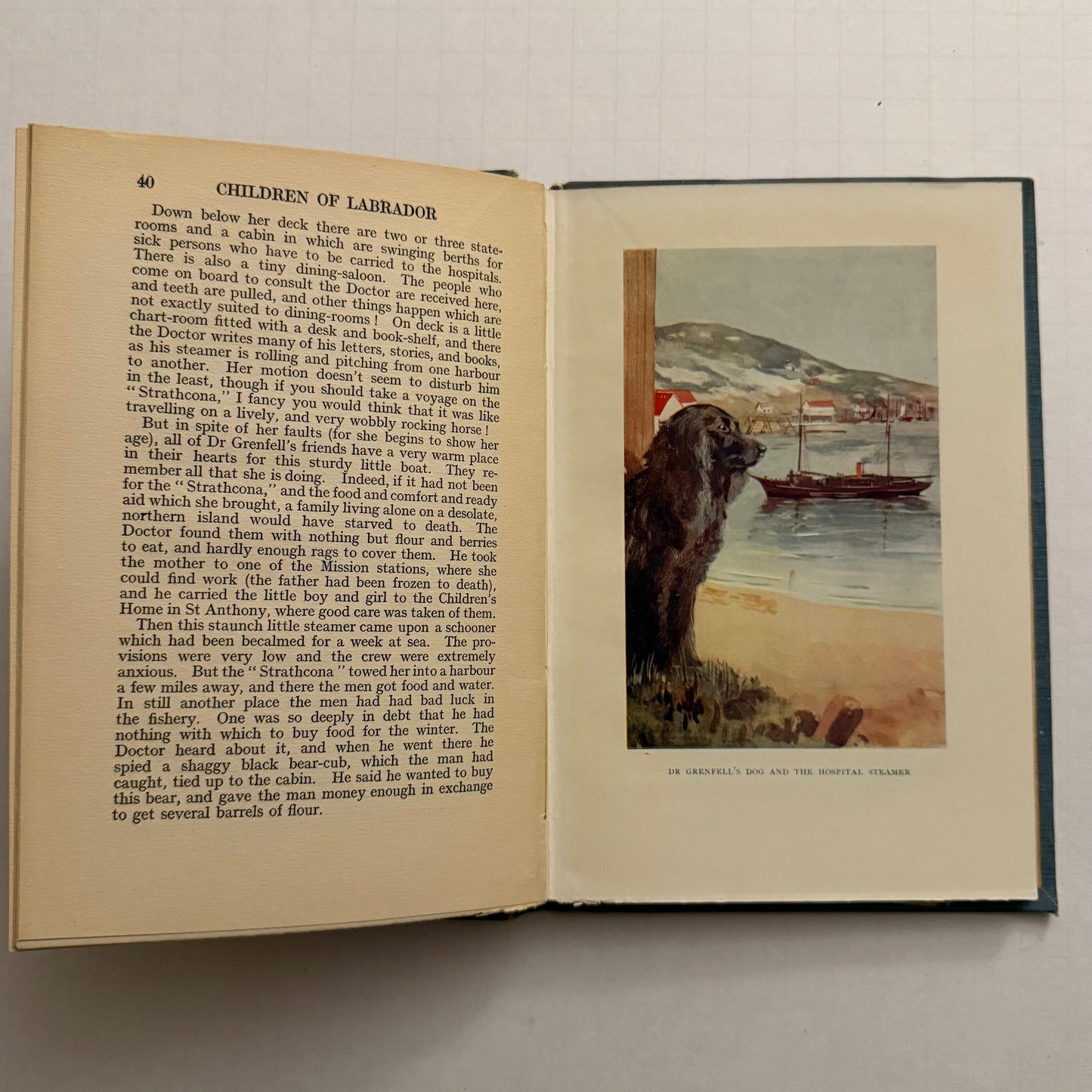 Children of Labrador (1920s) by Mary Lane Dwight — Illustrated Vintage Arctic Mission Book