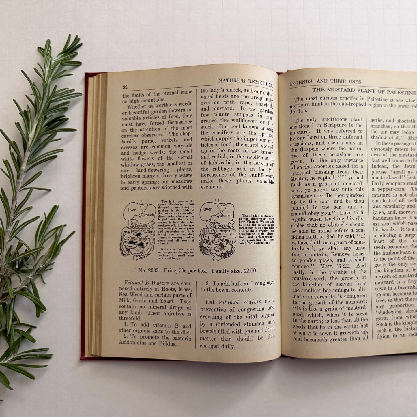 Natures Remedies 1934