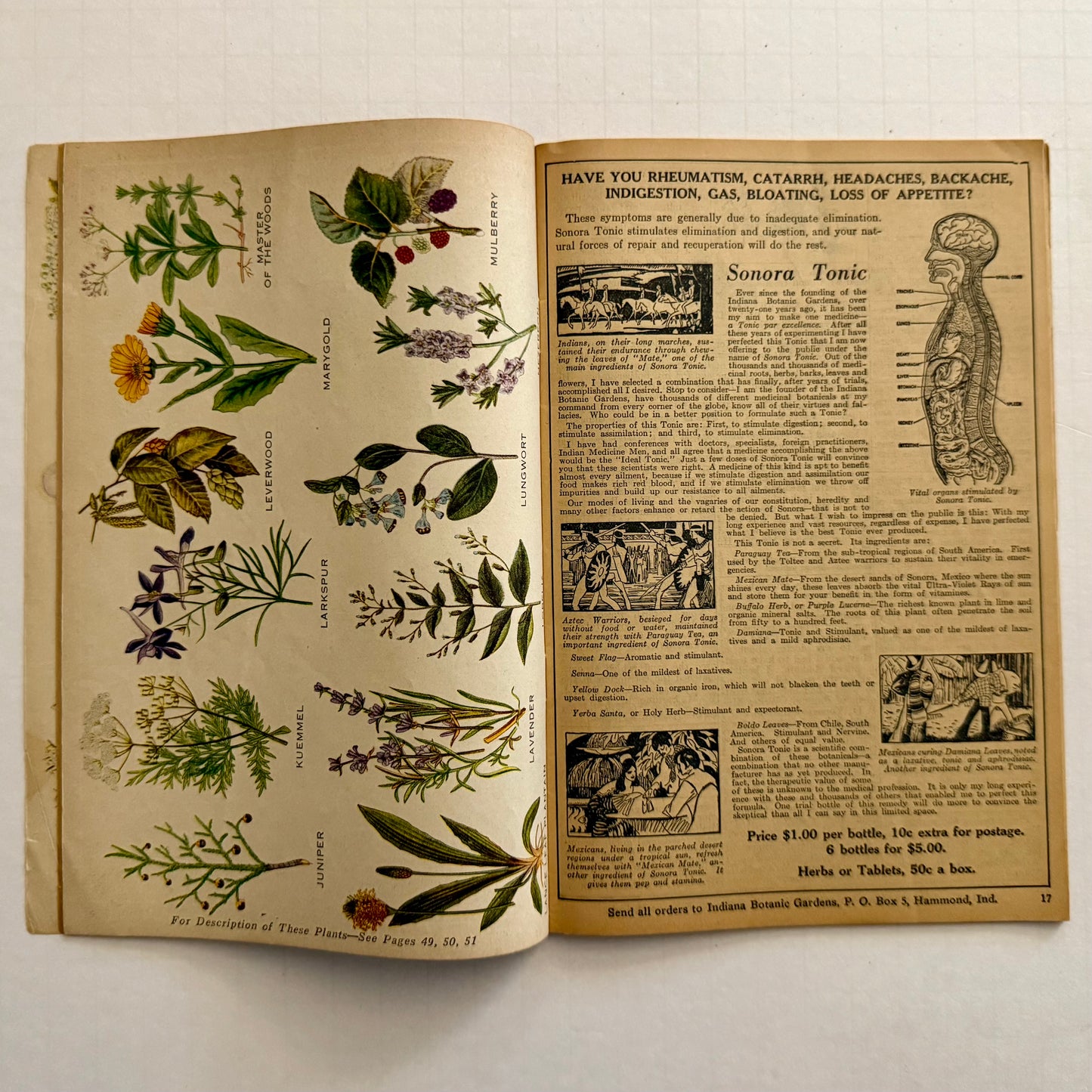 The Herbalist Almanac - 1933 Edition