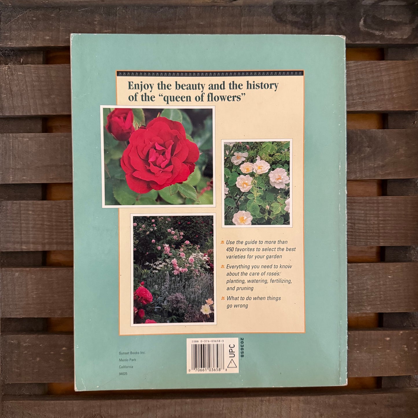 Sunset Roses – Vintage Gardening Guide to the Queen of Flowers