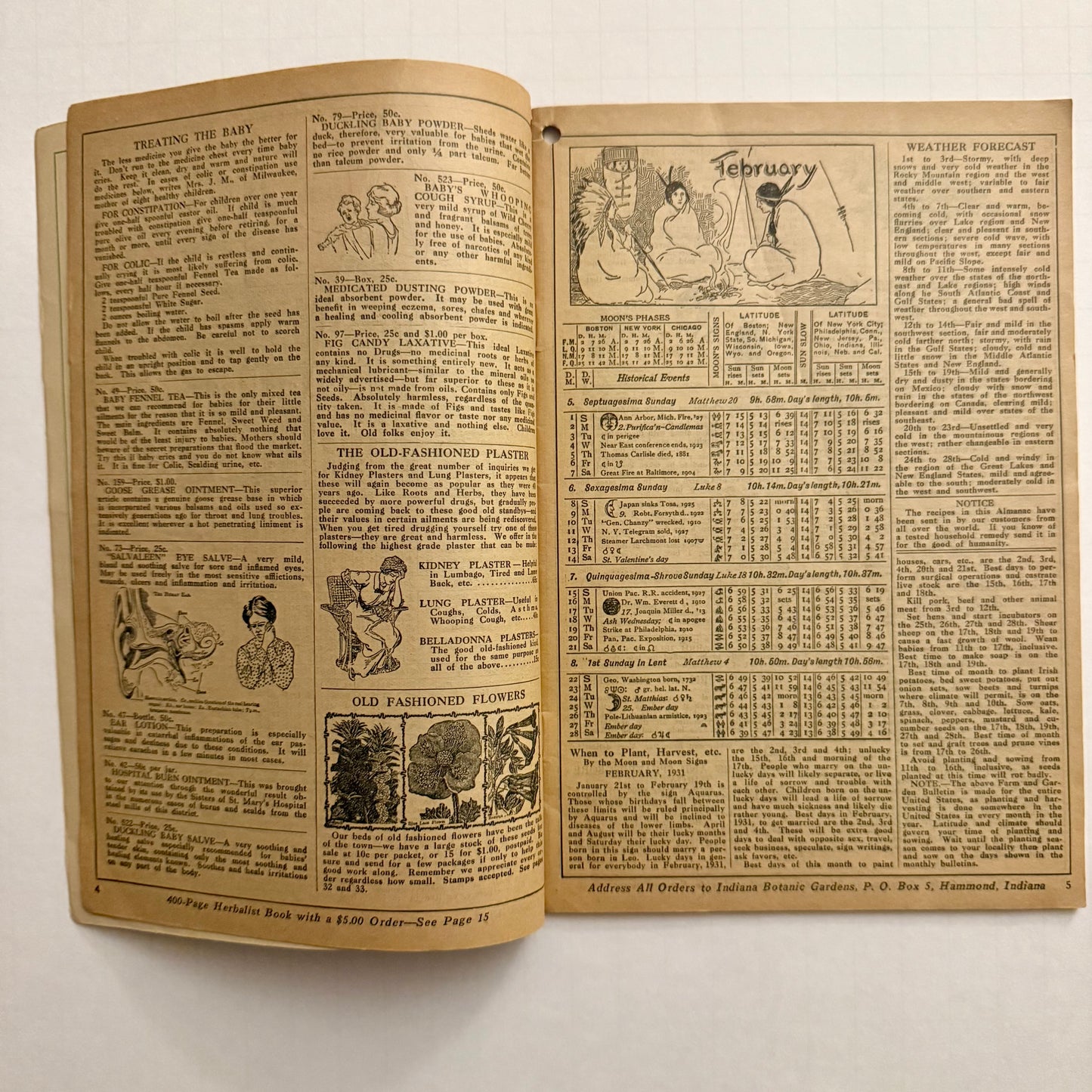 The Herbalist Almanac - 1931 Edition
