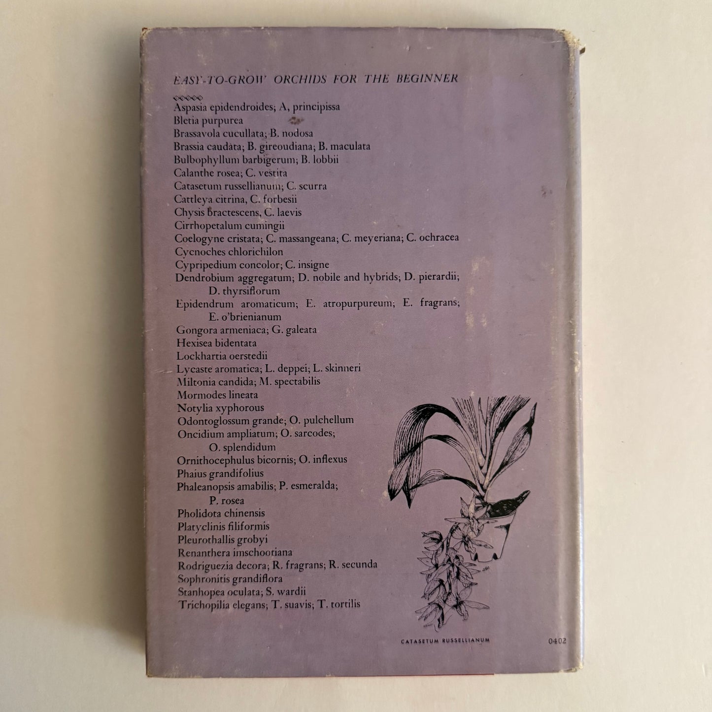 Growing Orchids at Your Windows