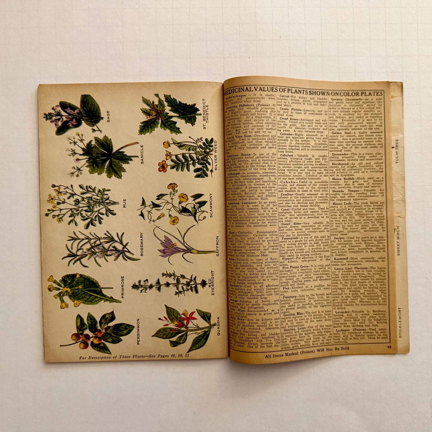 The Herbalist Almanac - 1933 Edition