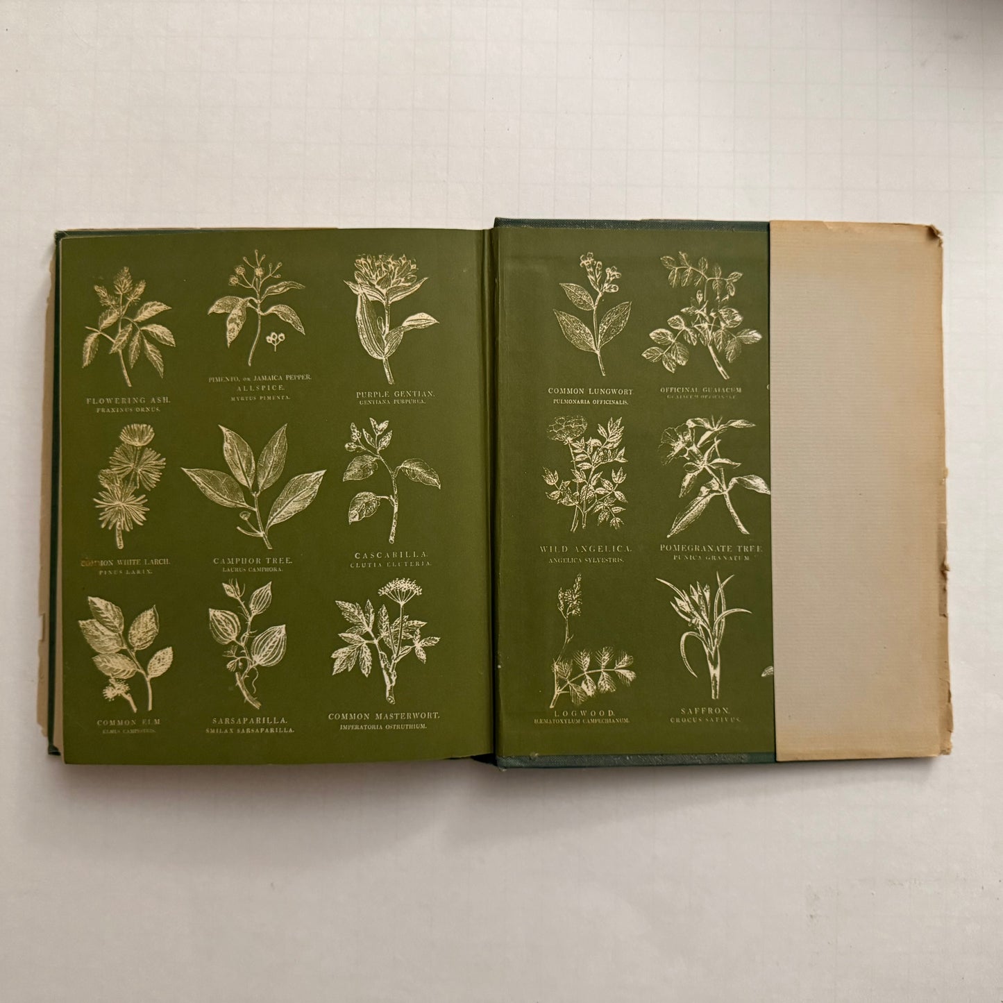 The Herbalist - 1960 Edition