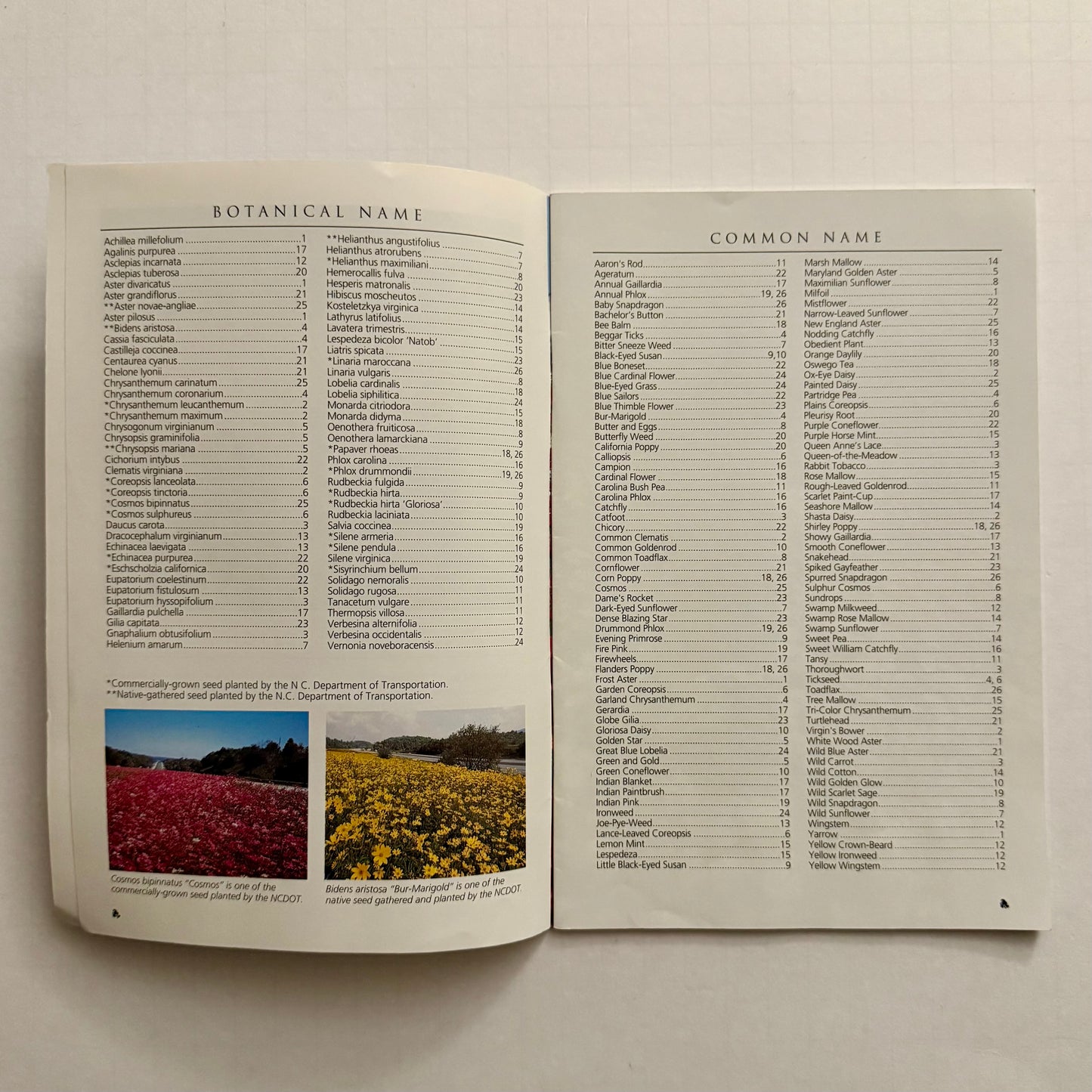 Wildflowers on North Carolina Roadsides – Official NCDOT Guidebook (Roadside Environmental Unit)