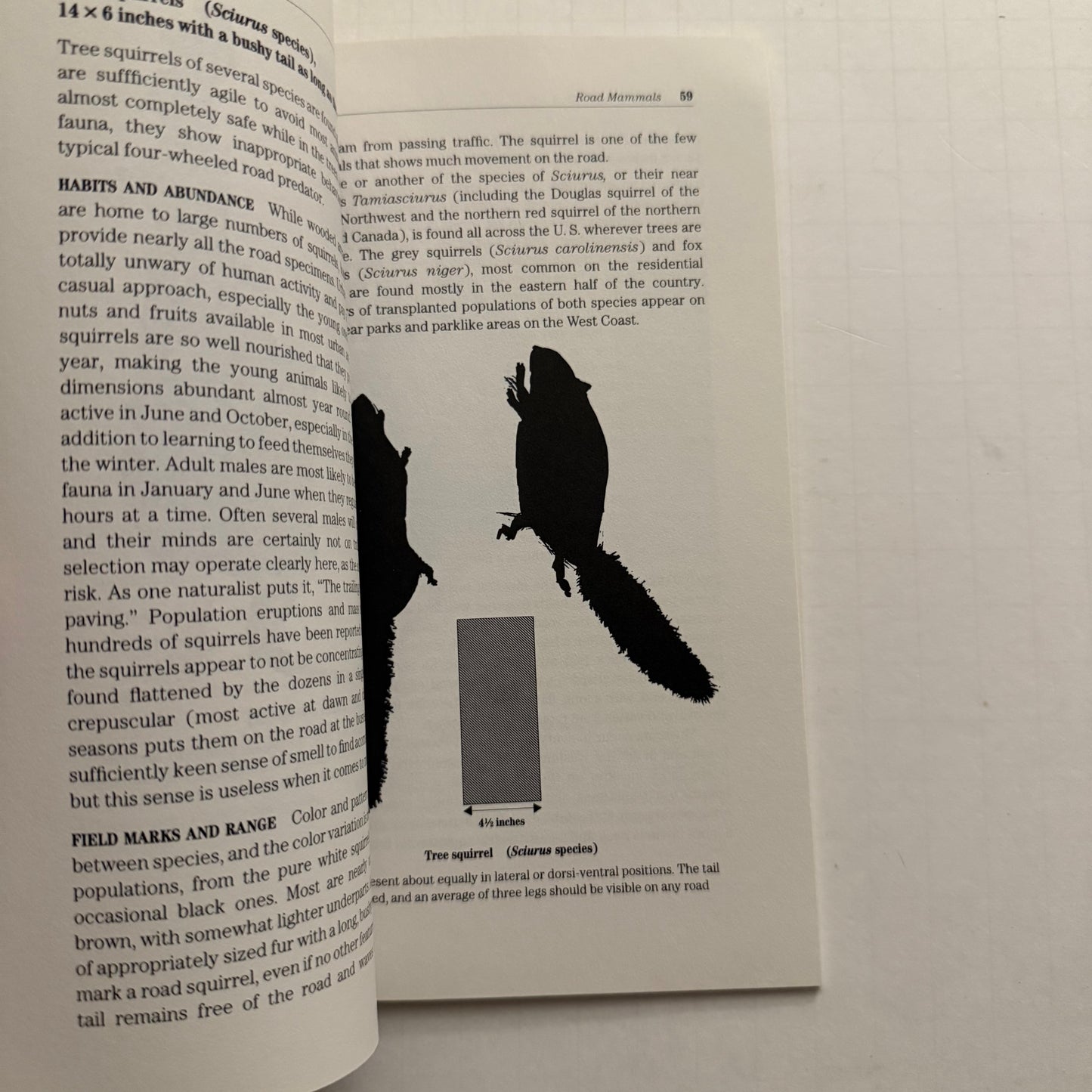 Flattened Fauna – A Field Guide to Common Animals of Roads, Streets & Highways | Roger M. Knutson