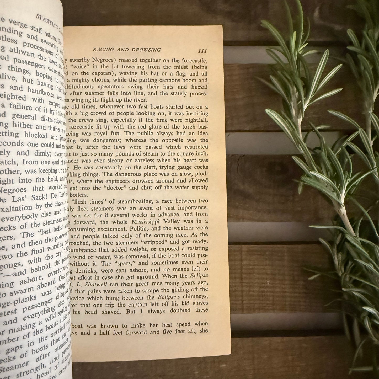 Open book with text on a wooden surface next to a plant
