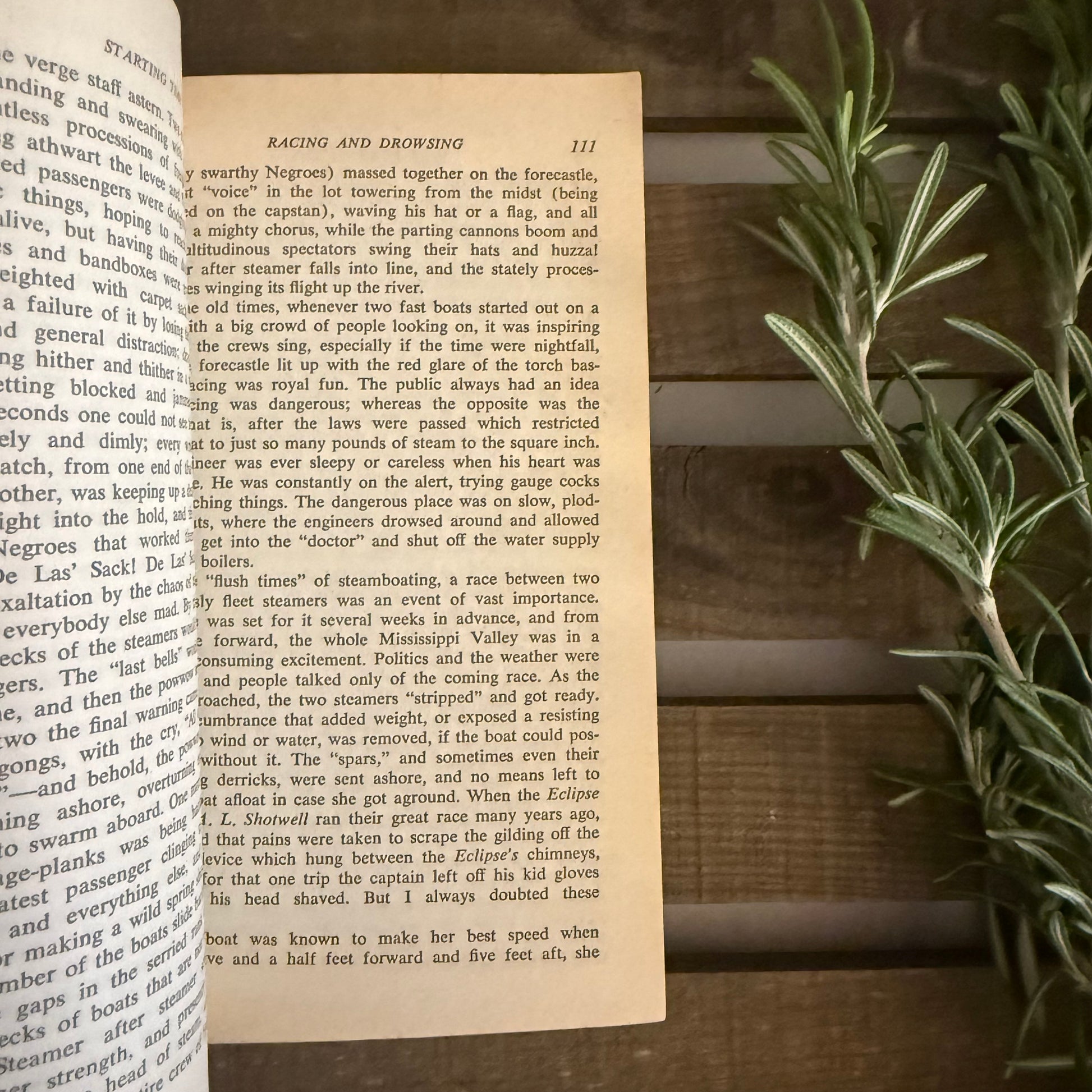 Open book with text on a wooden surface next to a plant