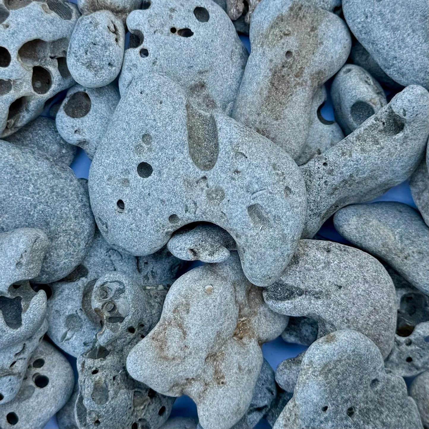 Natural Hag Stones – 1.75 lb Lot of Holey Stones | Beach-Worn Lucky Stones from the Sea