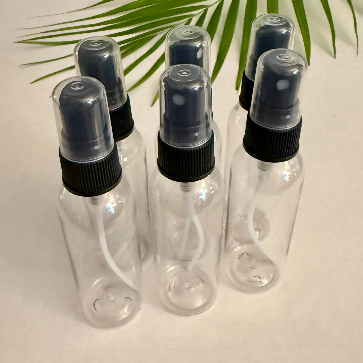 2 oz Clear Plastic Bottle with Fine Mist Sprayer Pump