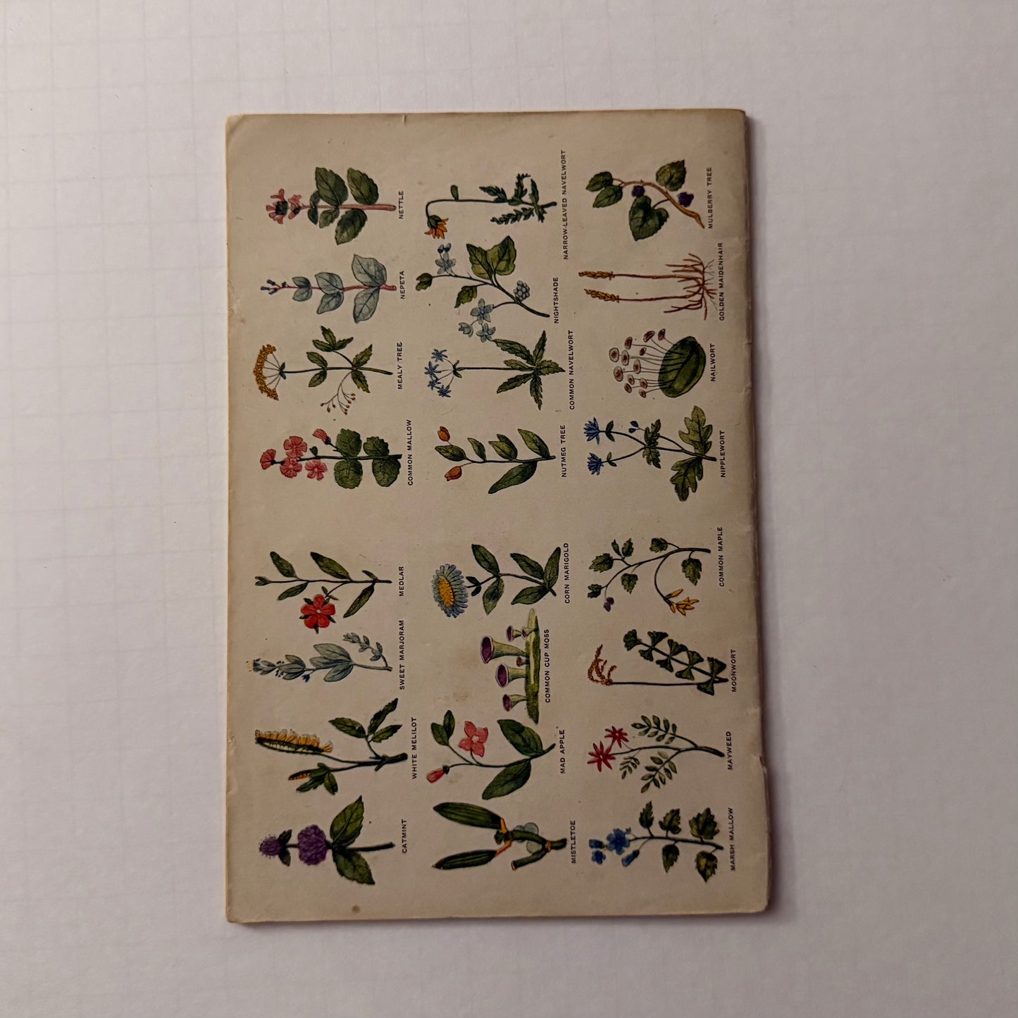 The Herbalist Almanac -1951 Edition