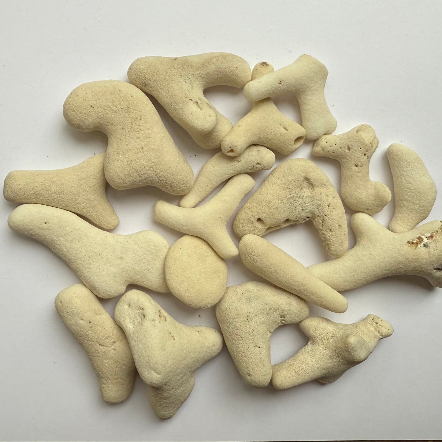 Tumbled White Coral Fragments – 10 oz Collection | Natural Sea Bone Coral Pieces