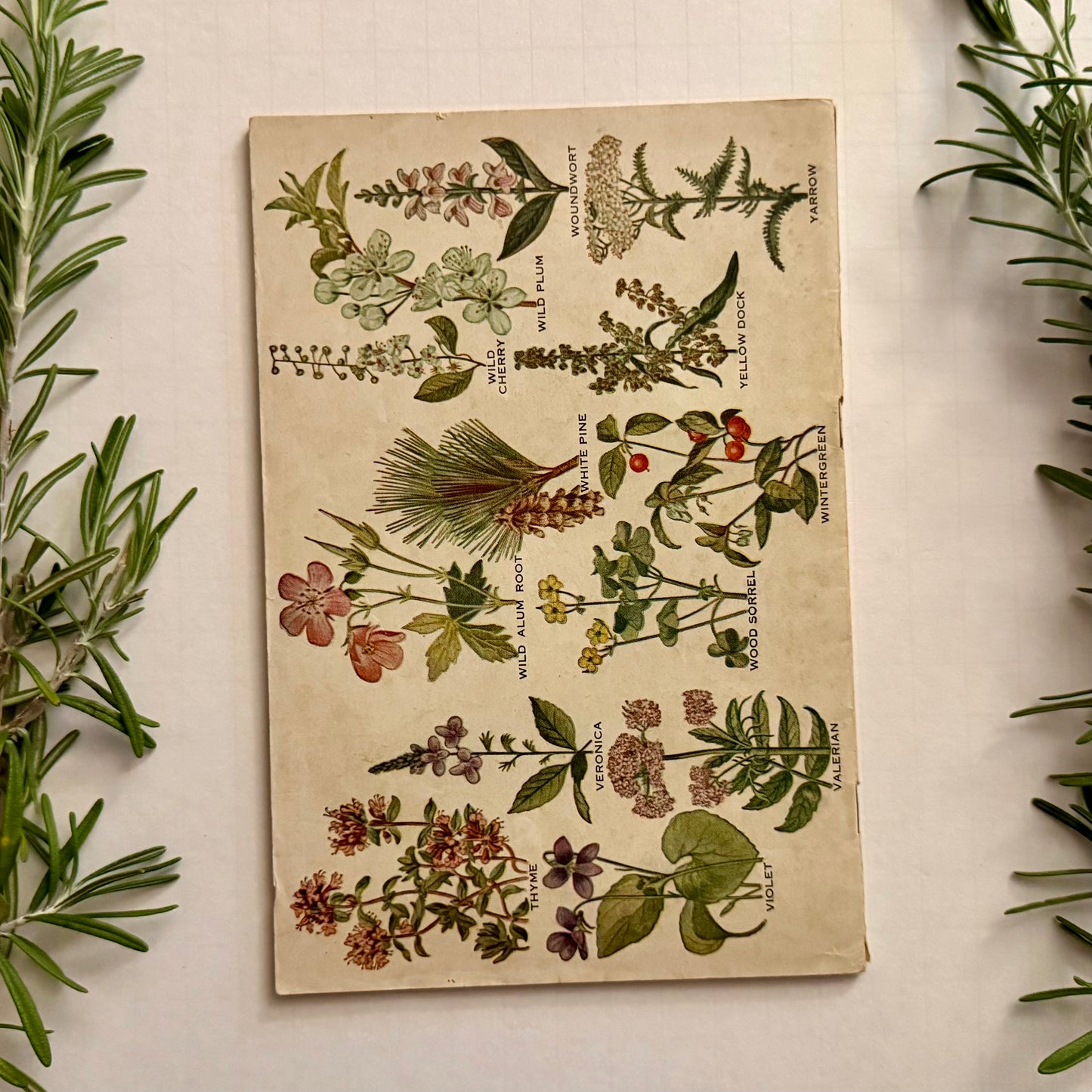 The Herbalist Almanac - 1940 Edition