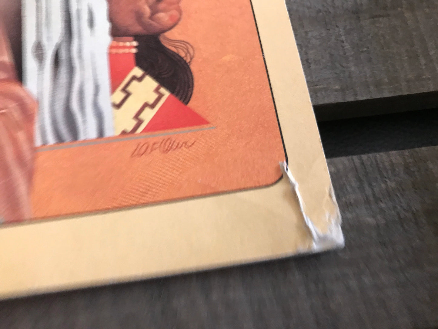 North American Indians - The How and Why Wonder Book (used)