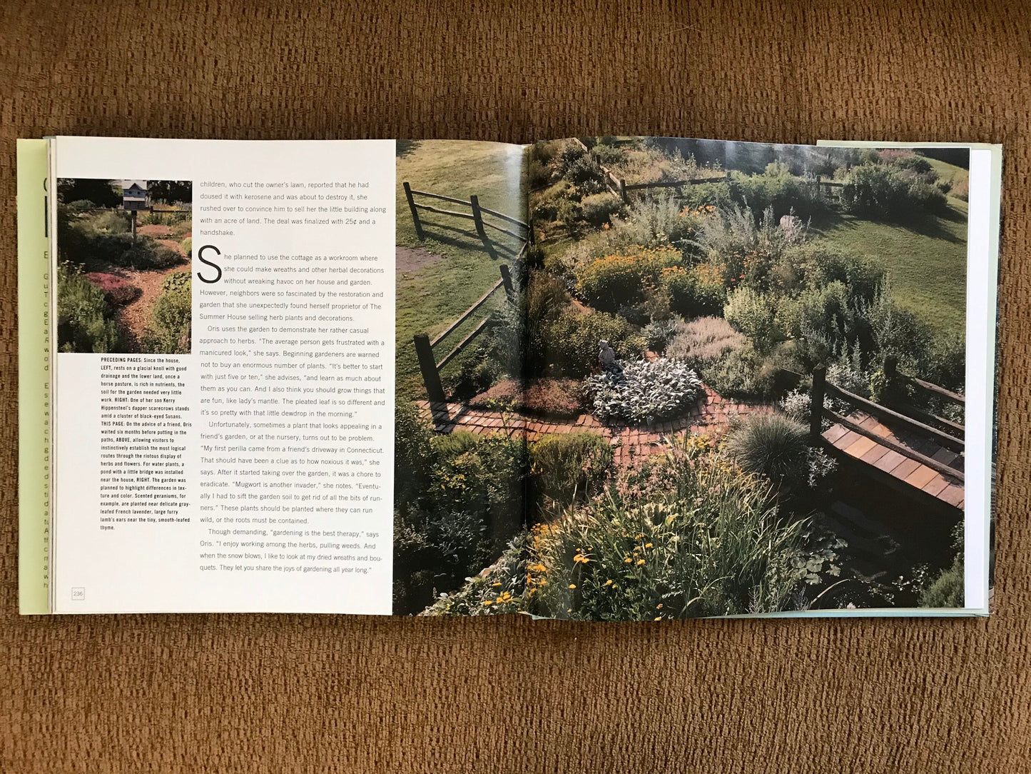 Gardening with Herbs (used)