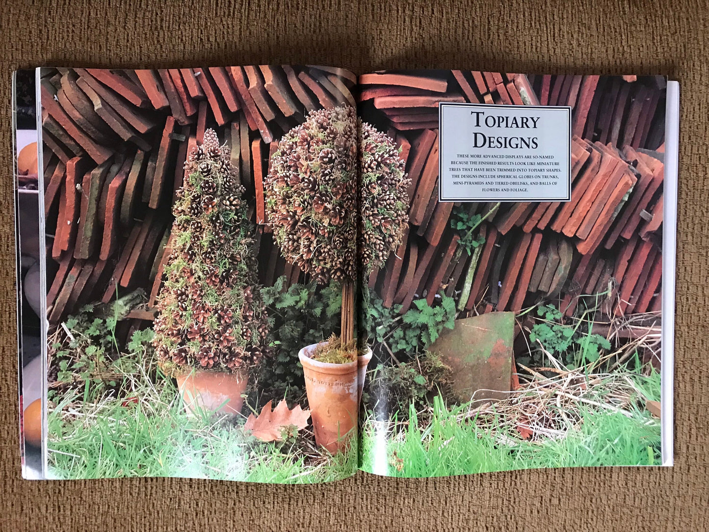 The Captured Harvest (used)