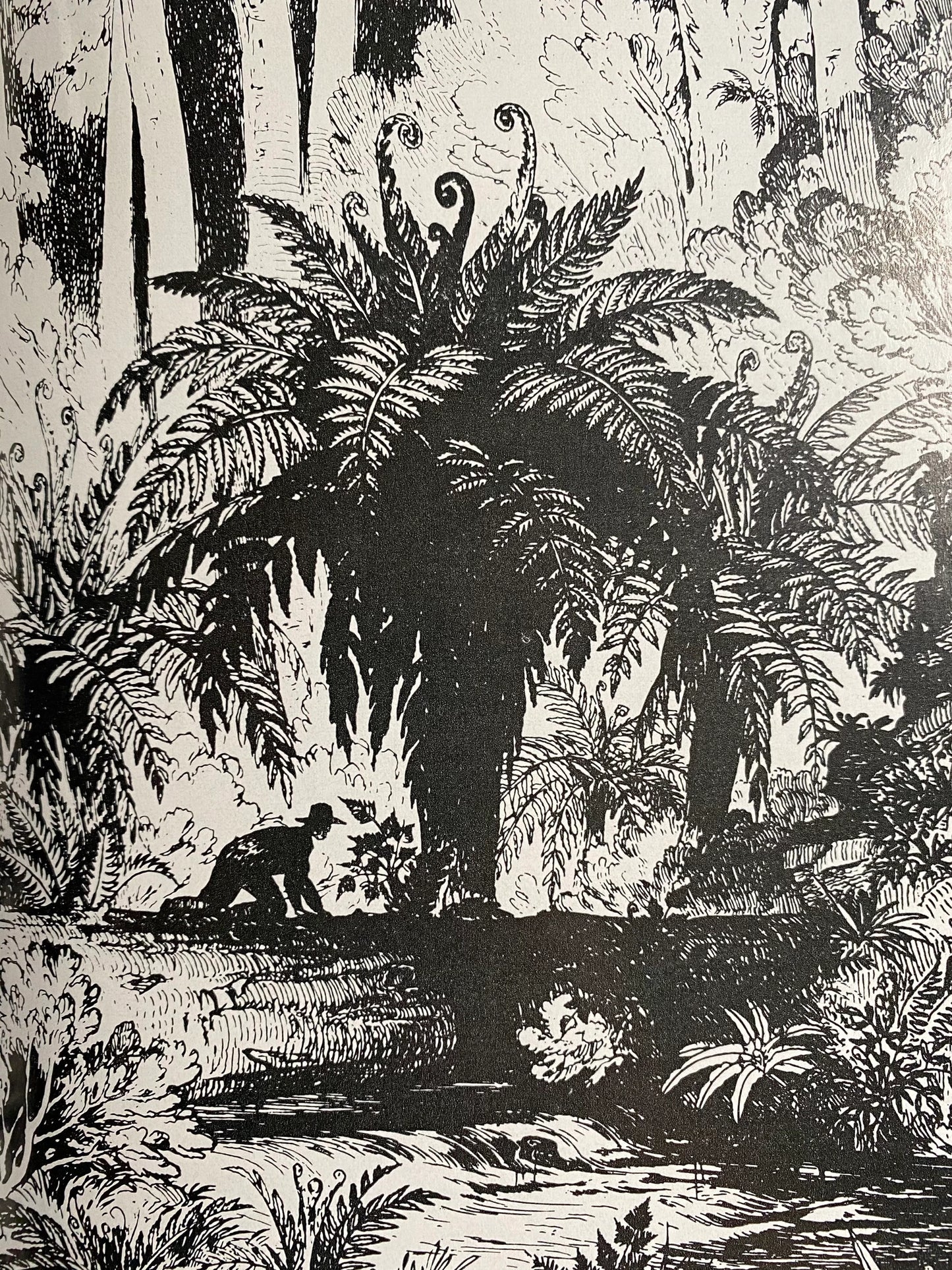 The Plant Hunters (used)