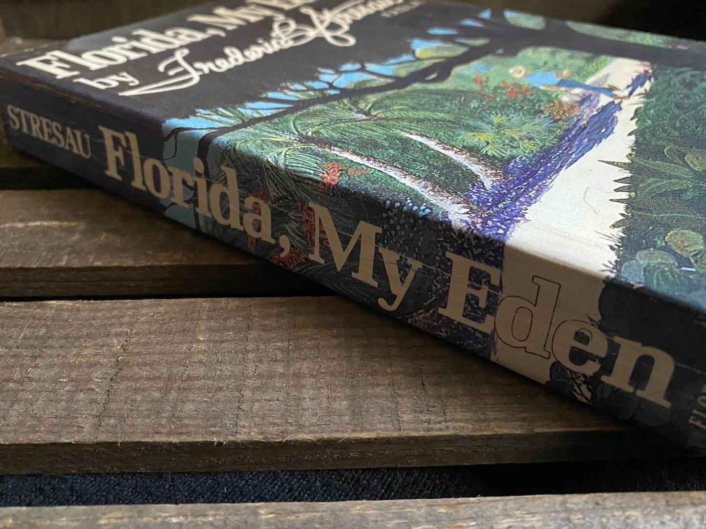 Florida, My Eden (used)