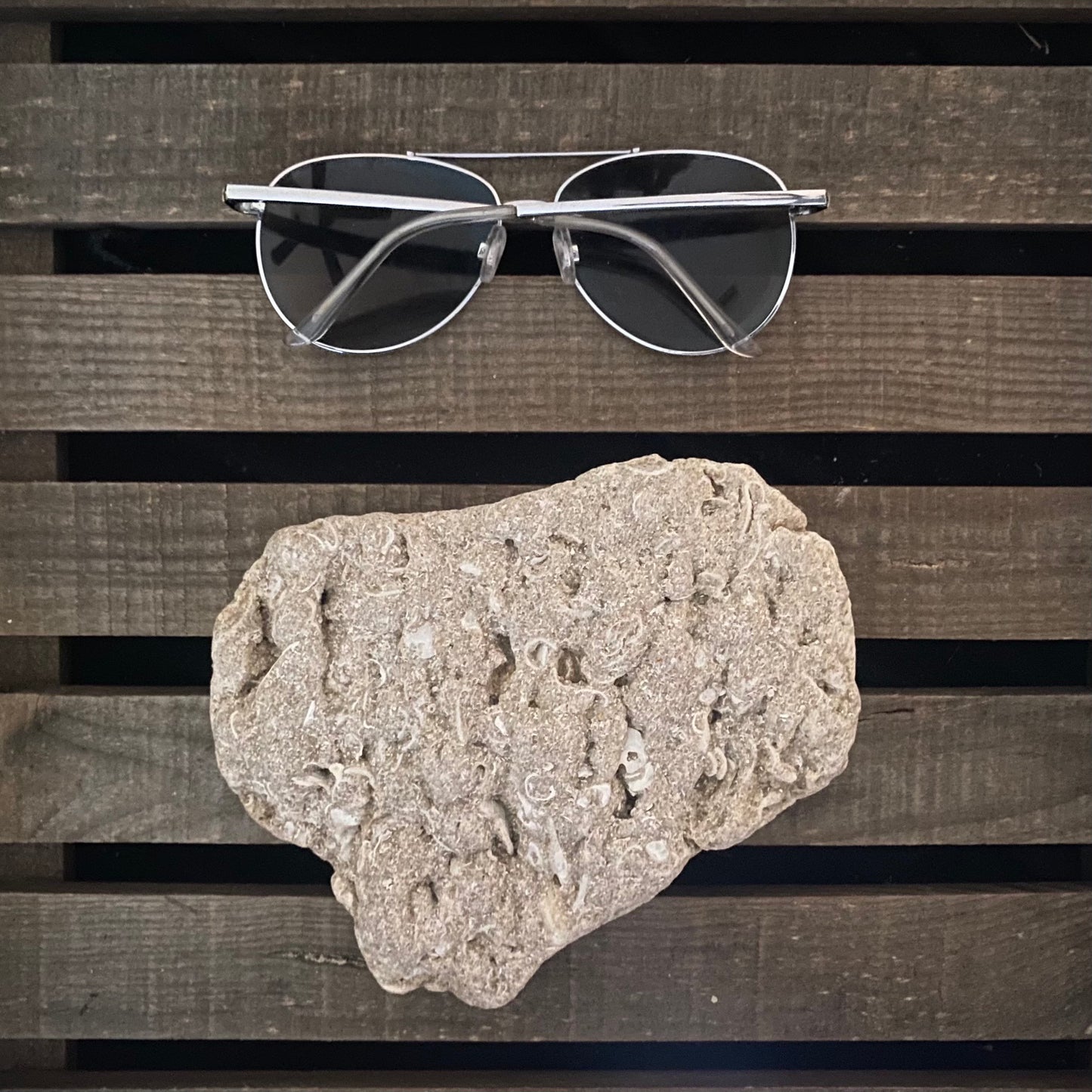 Coral Limestone Reef Rock – 1.3 lb Fossilized Shell Stone | Natural Coastal Formation