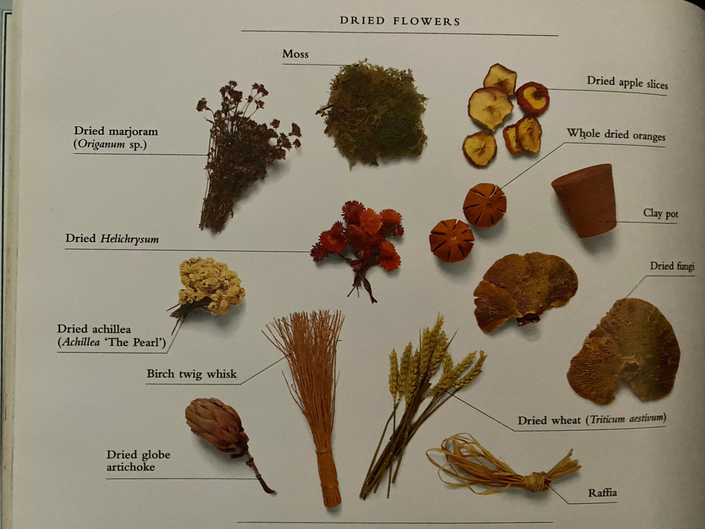 Flower Craft (used)